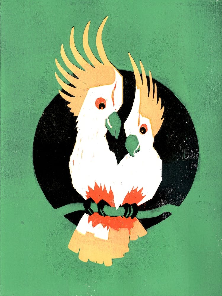 Two Cockatoos In Love Green