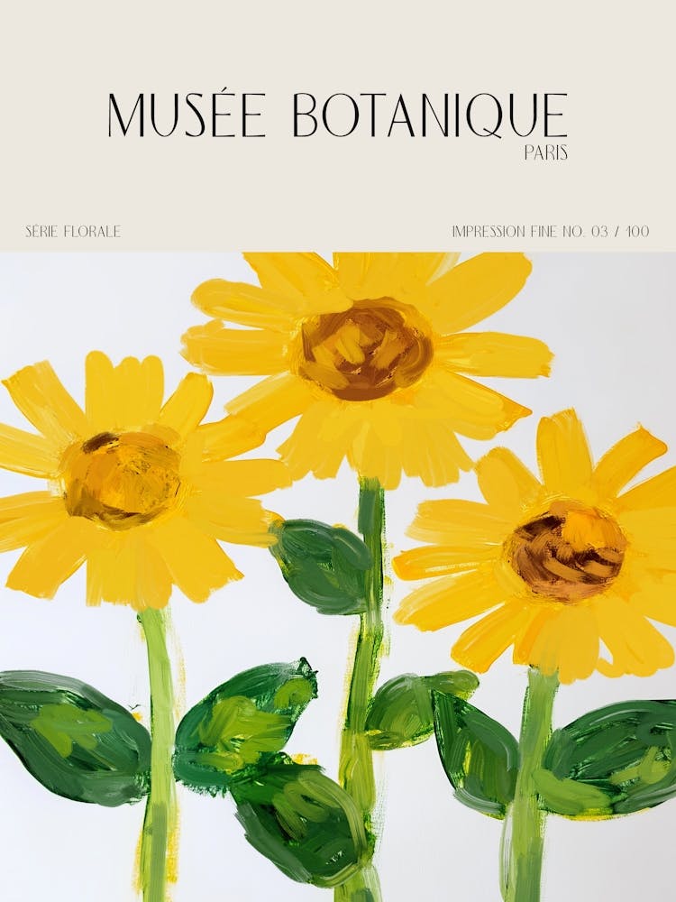 Musee botanique no 27