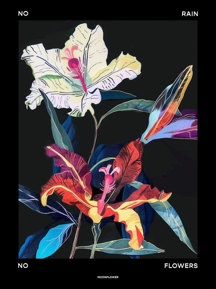 No Rain No Flowers Poster Moonflower 2