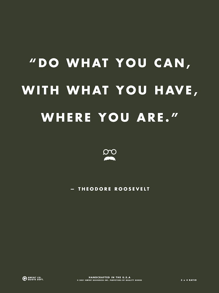 Theodore Roosevelt Quote