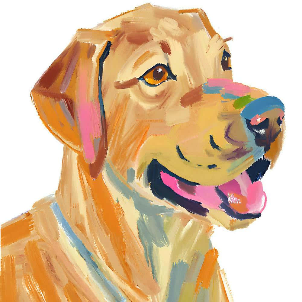 Labrador Retriever 02