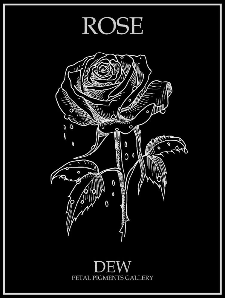 Rose Dew Line Drawing 2 Poster Inverted