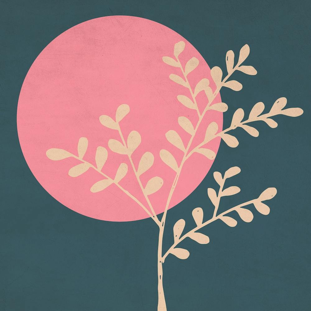 Pink Moon