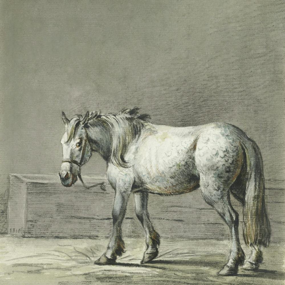 Standing Horse (1810 1816), Jean Bernard