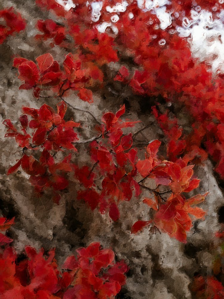 Red Autumn Leaves On Mountain Oil Painting