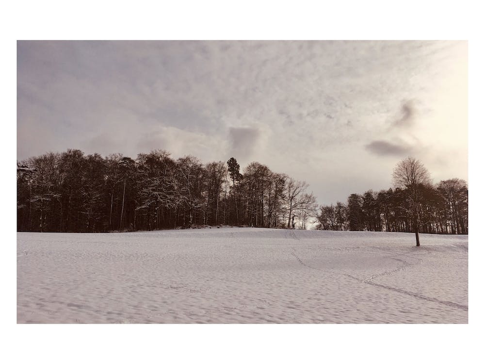 Snow