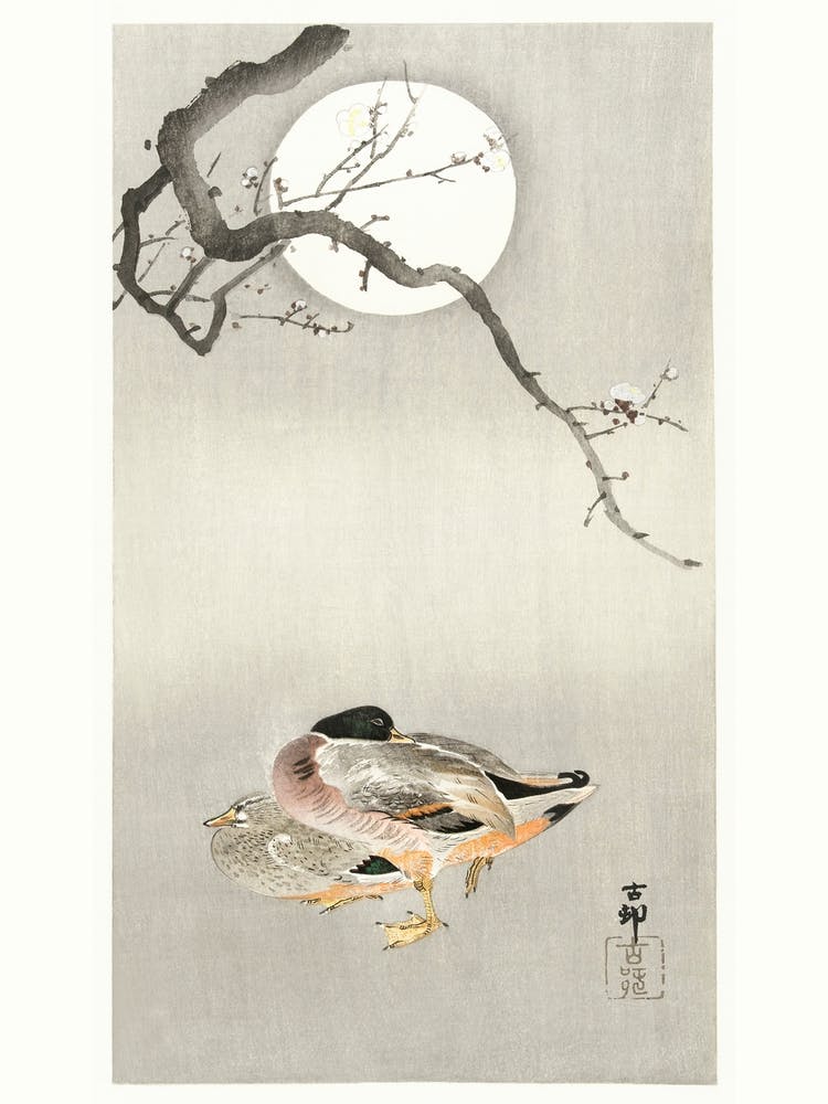 Ducks At Full Moon (1900 1945), Ohara Koson