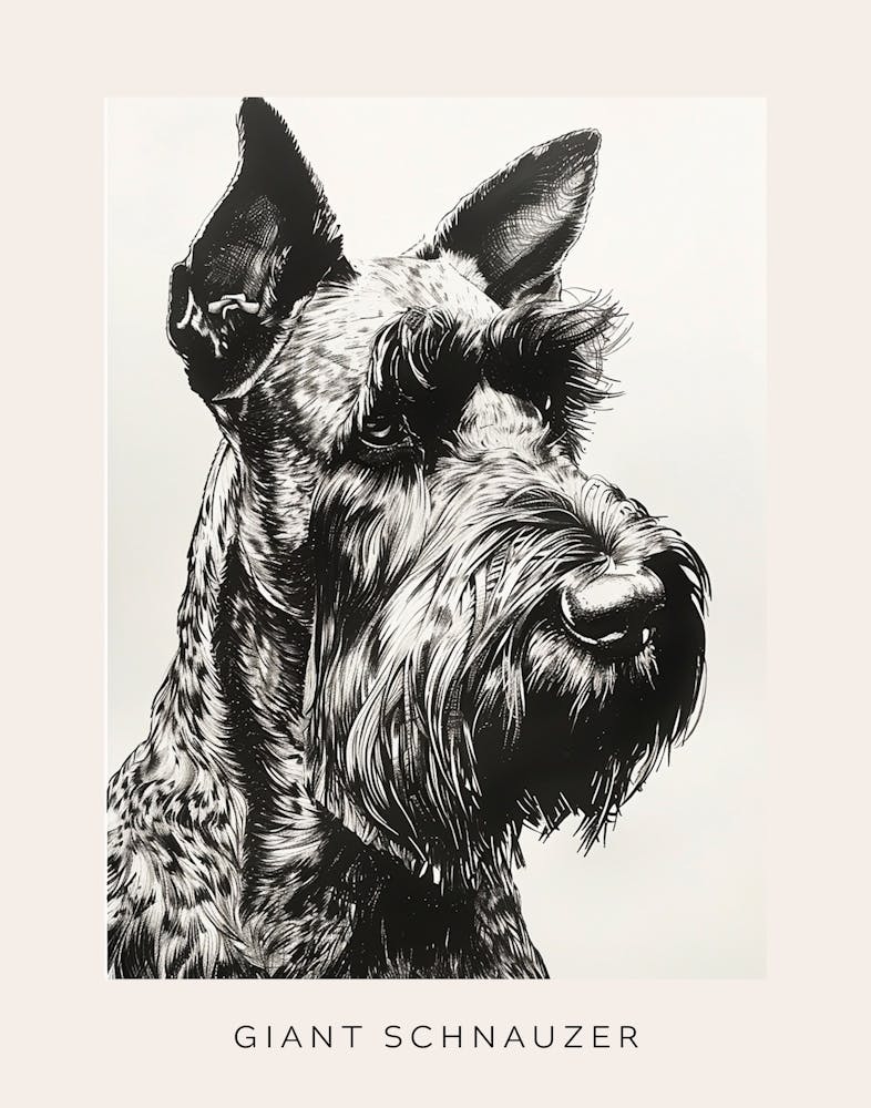 Giant Schnauzer Line Sketch 3 Poster
