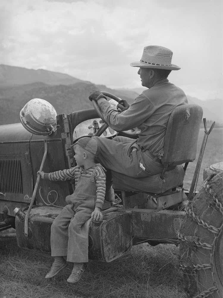 Untitled Photo, Possibly Related To Farmer And His Son, Ouray County, Colorado By Russell Lee