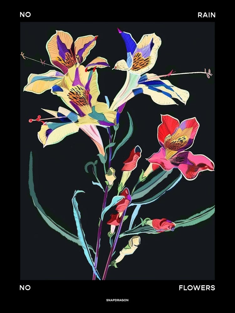 No Rain No Flowers Poster Snapdragon 4