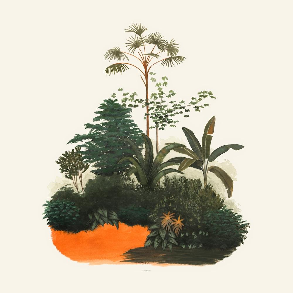 Buisson Tropical Carré Jpg