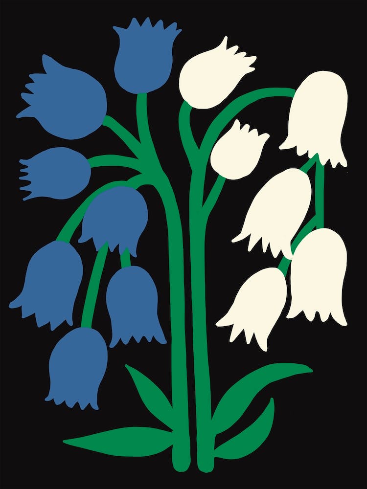 Spring Snowdrops