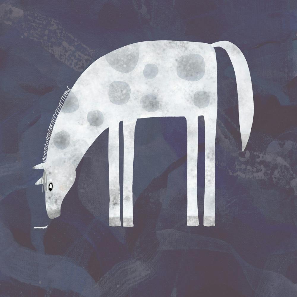 Dappled Horse On A Dark Blue Background