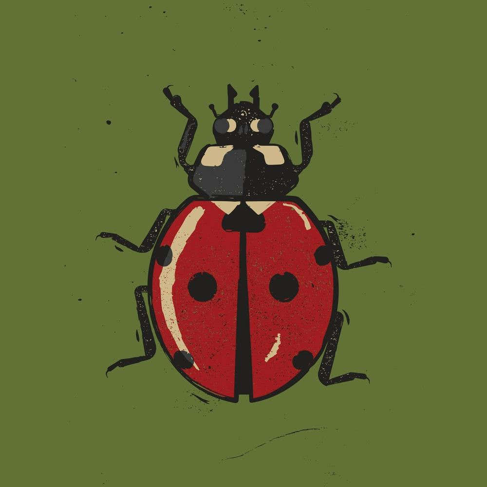 Ladybug