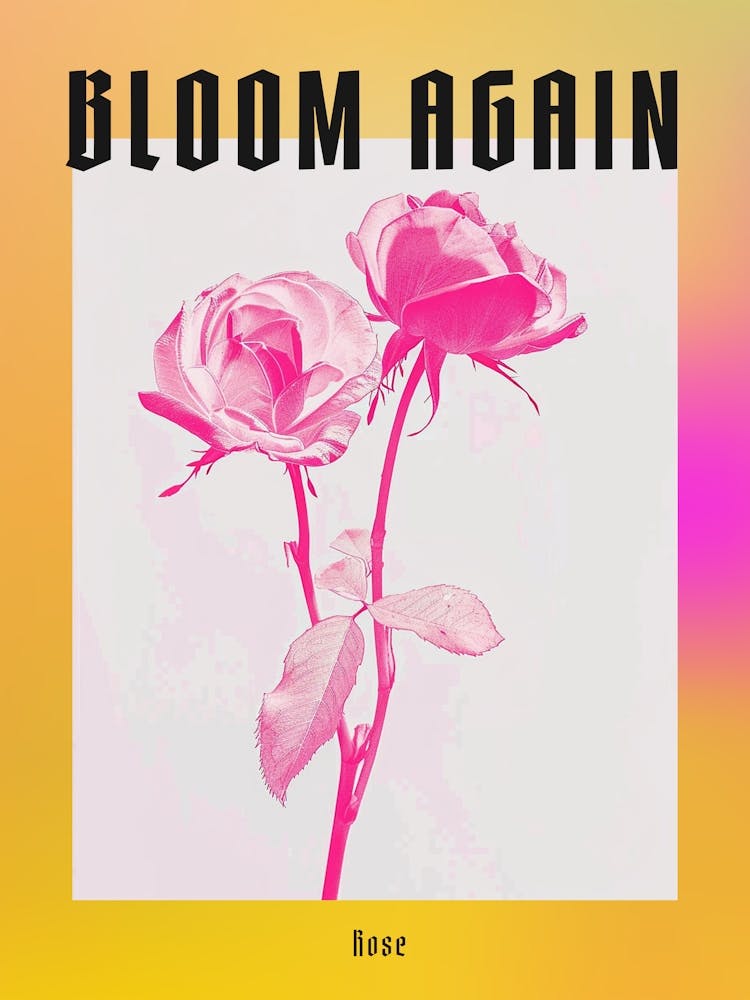Hot Pink Rose 3 Poster