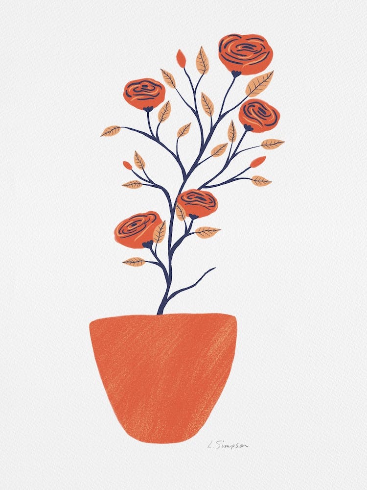 Potted Camellias