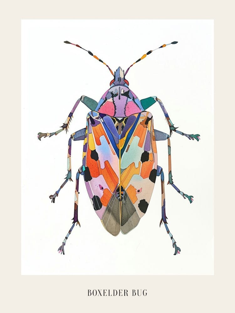 Farbenfrohe Insektenillustration Ahornwanze 17 Poster