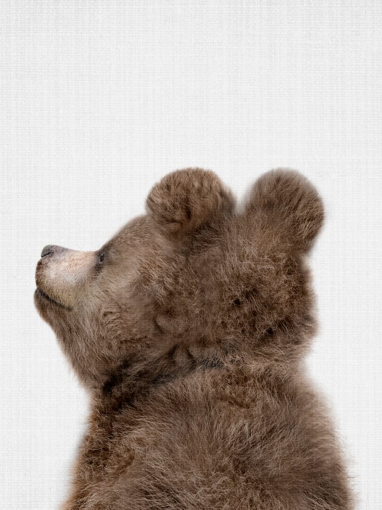 Peekaboo Bear Side