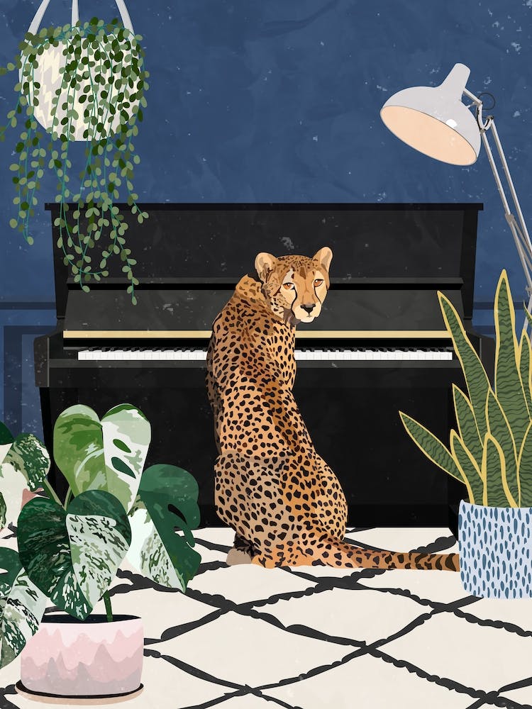 Cheetah Piano