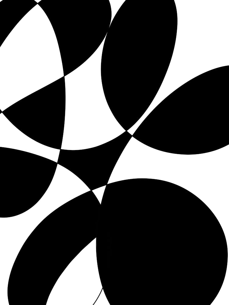 Abstract Black And White 1
