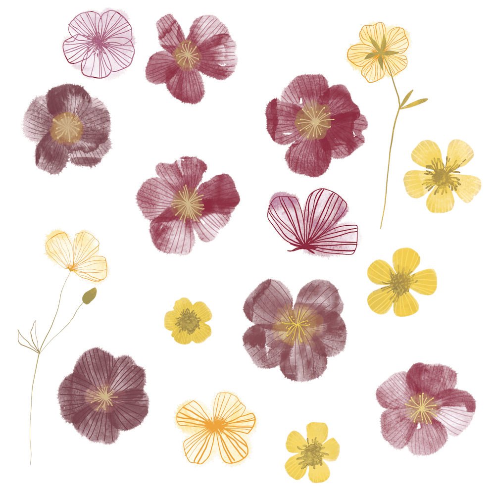 Watercolor Pressed Wild Flowers