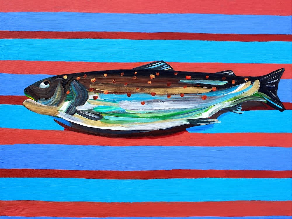 Brown Trout