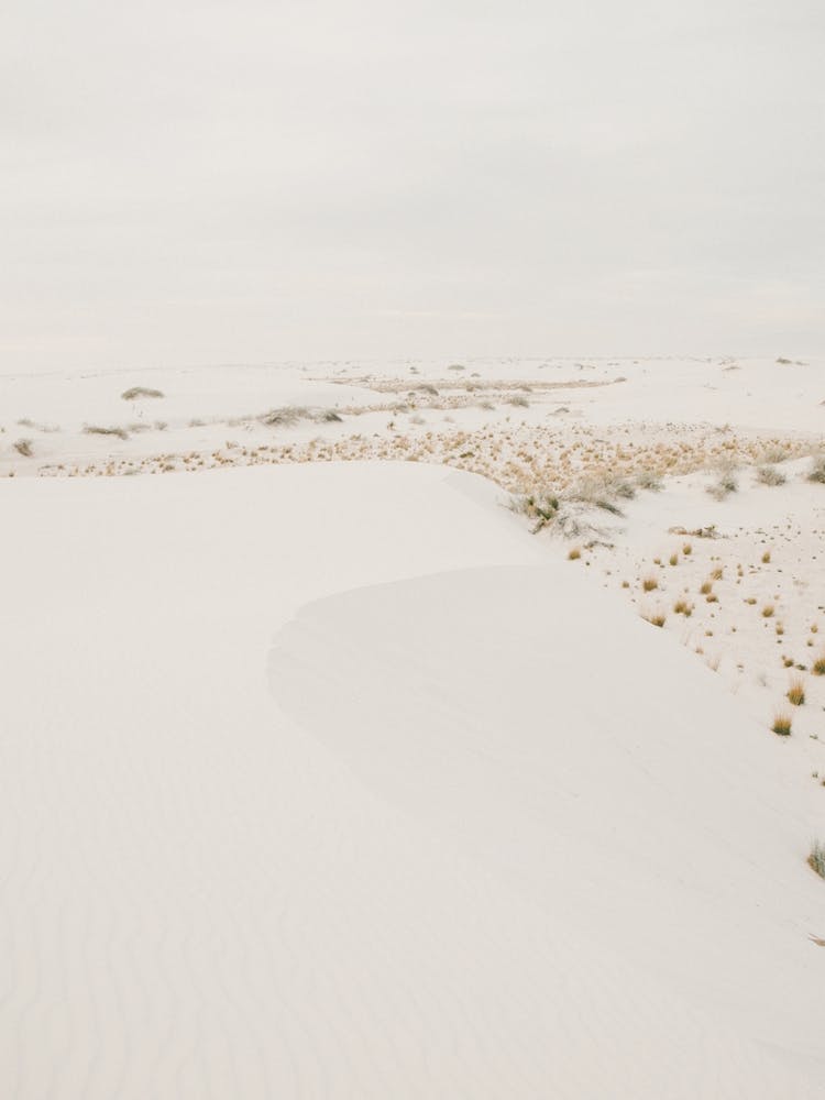 White Sand Desert