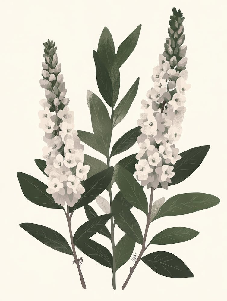 Lily Of The Valley 89