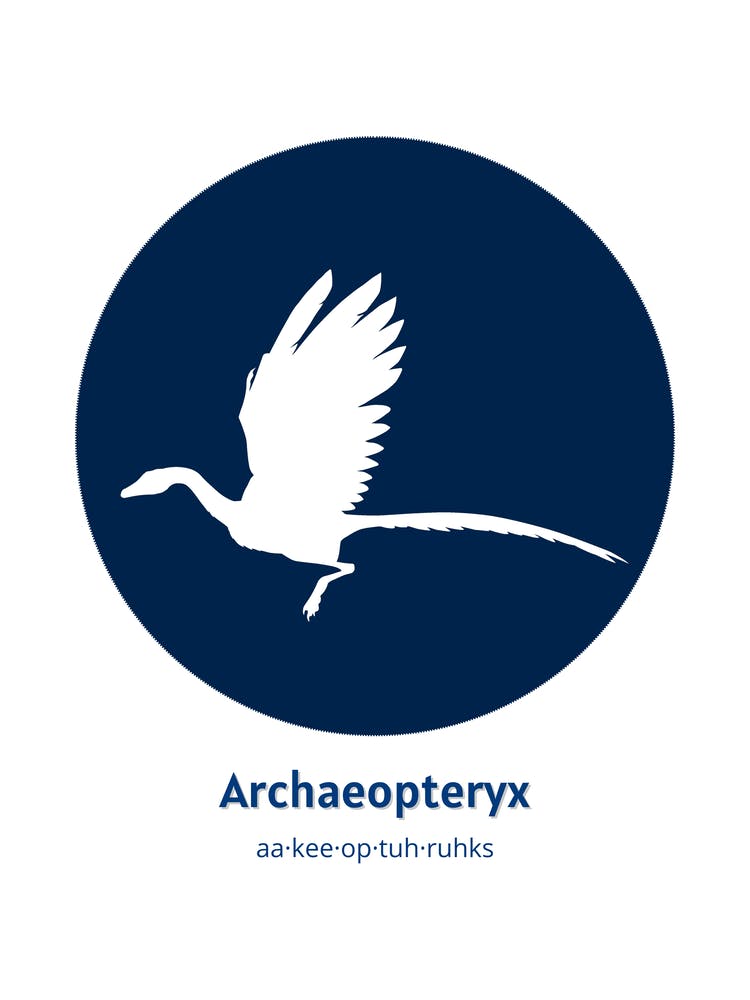 Dinosaur Archaeopteryx Blue Nursery