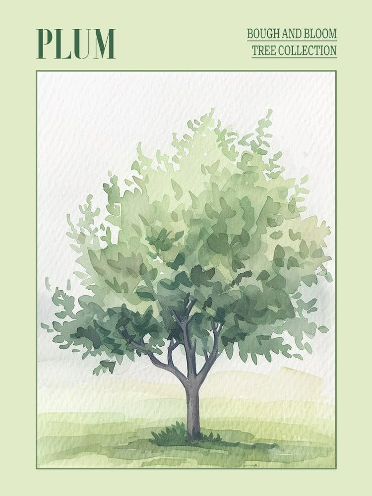 Plum Tree Atmospheric Watercolour Painting 1 Poster