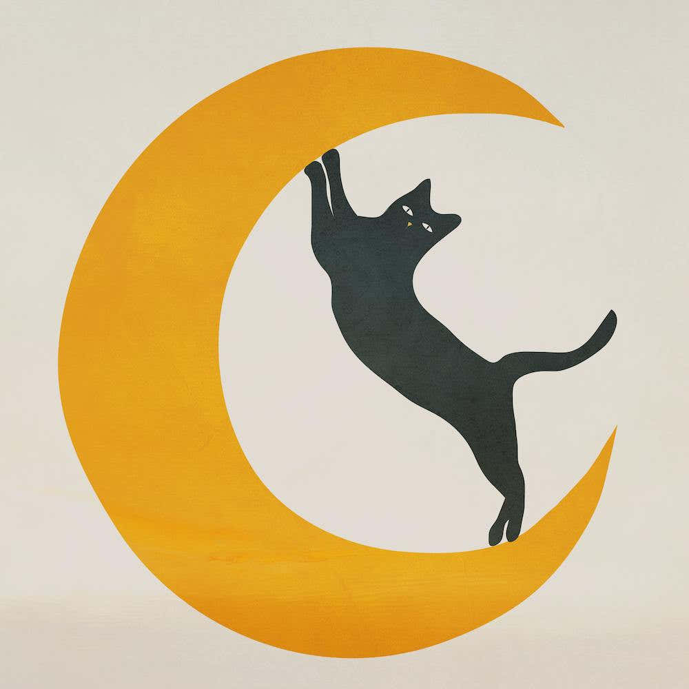 Moon And Cat