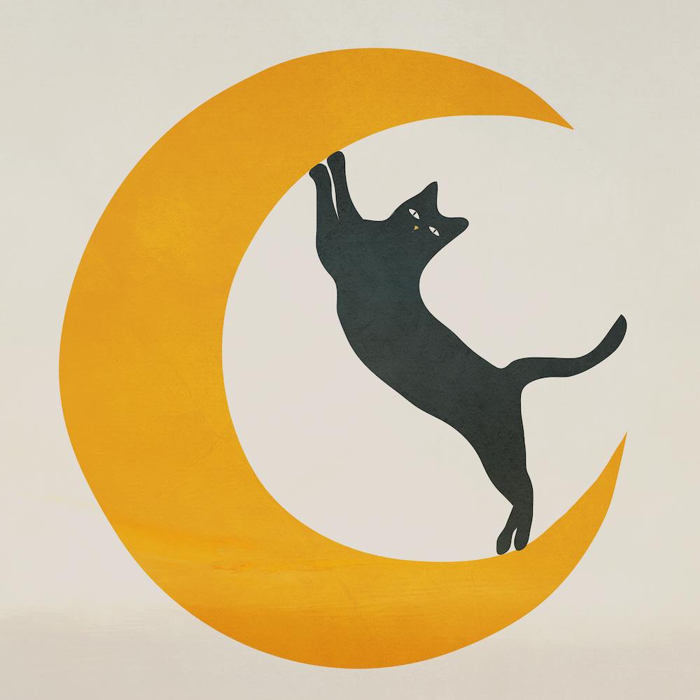 Moon And Cat