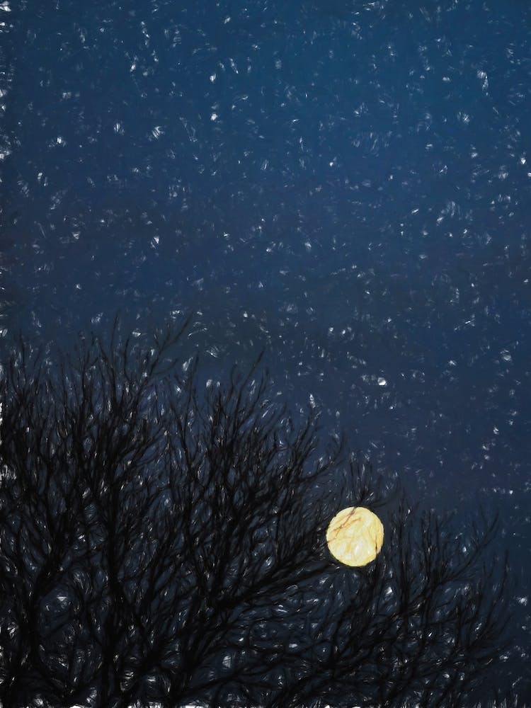 Winter Moon