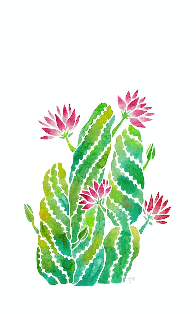 Twisted Cactus