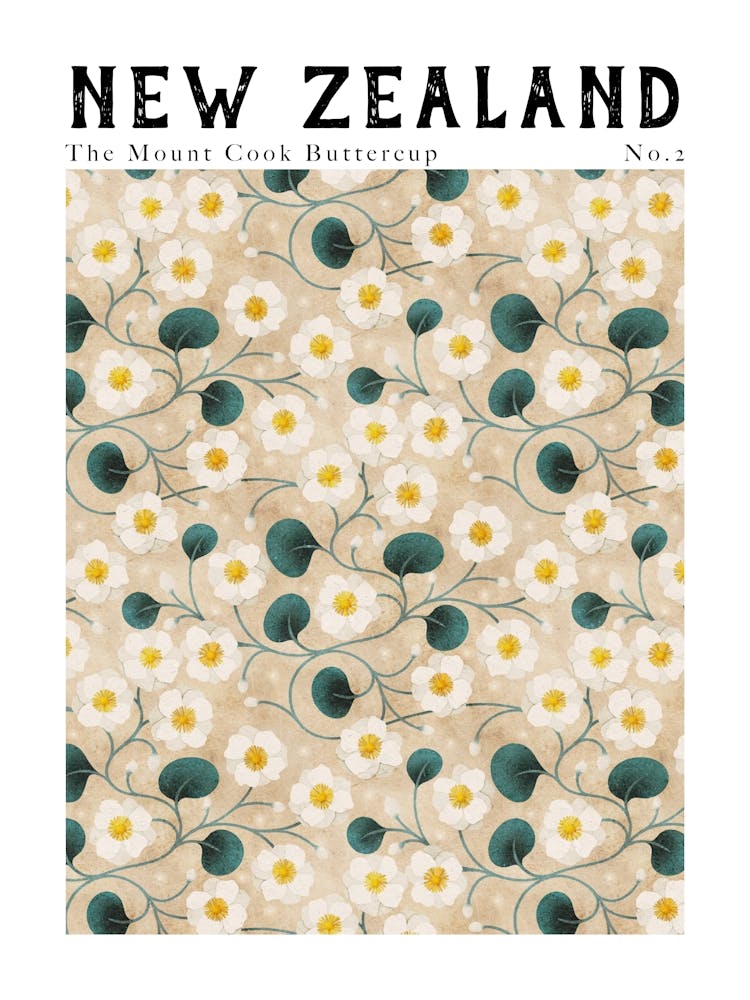 New Zealand Florals | Mount Cook Buttercup