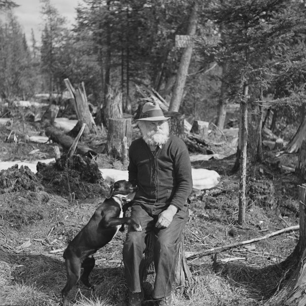 John Nygren And His Dog Prince, Nygren Lives Alone In A Shack Near Iron River, Michigan By Russell Lee
