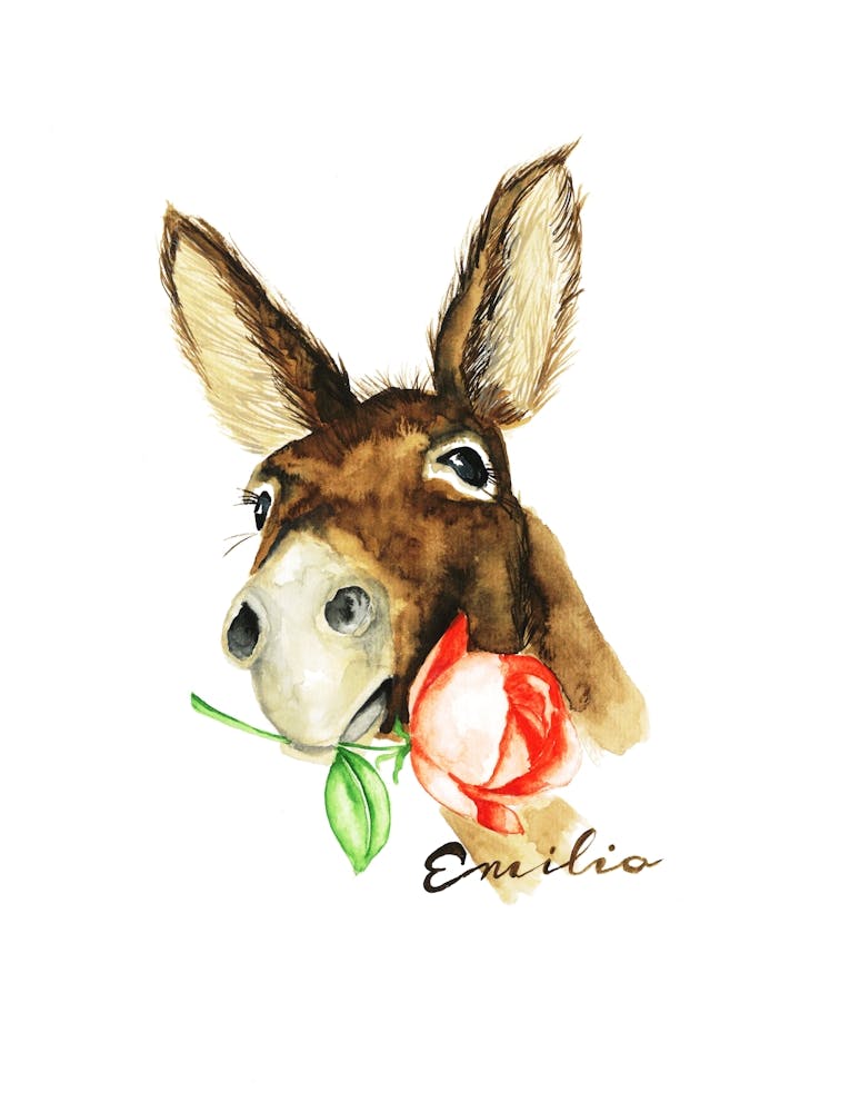 Esel Emilio