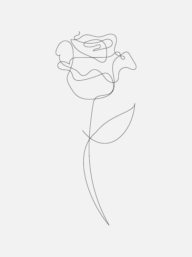 One Line Rose
