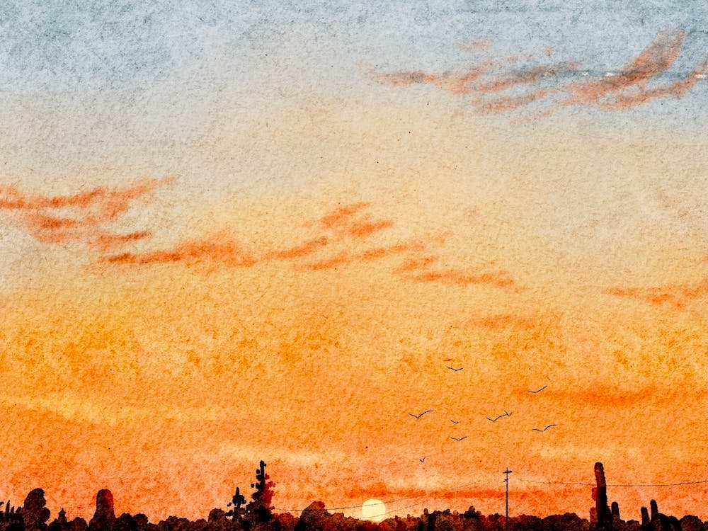 sunset