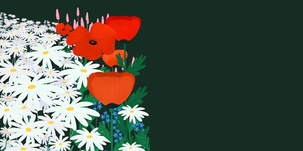 Cottage Garden