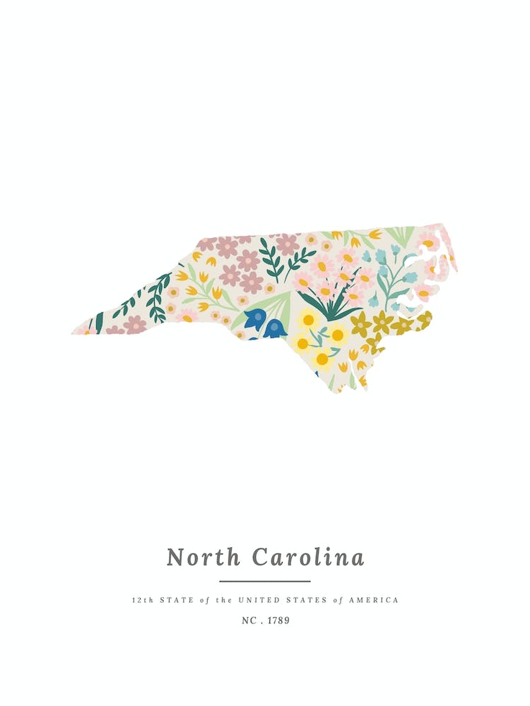 North Carolina | Wildflower Mix