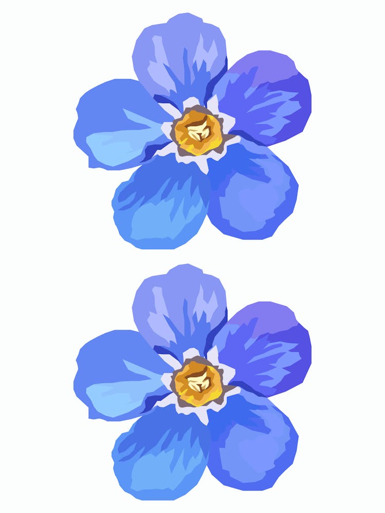 Forget Me Not Flower