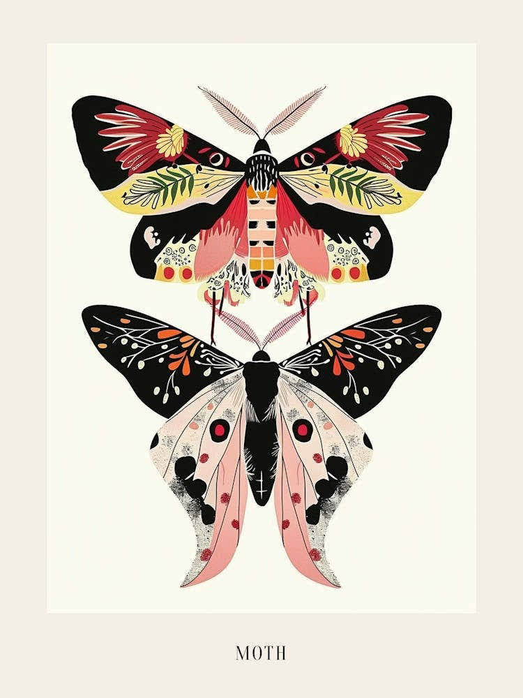 Colourful Insect Illustration Moth 23 Poster