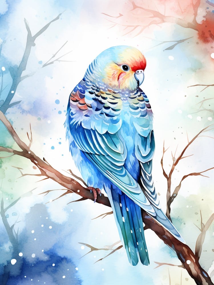 Snowy Budgie Illustration 4