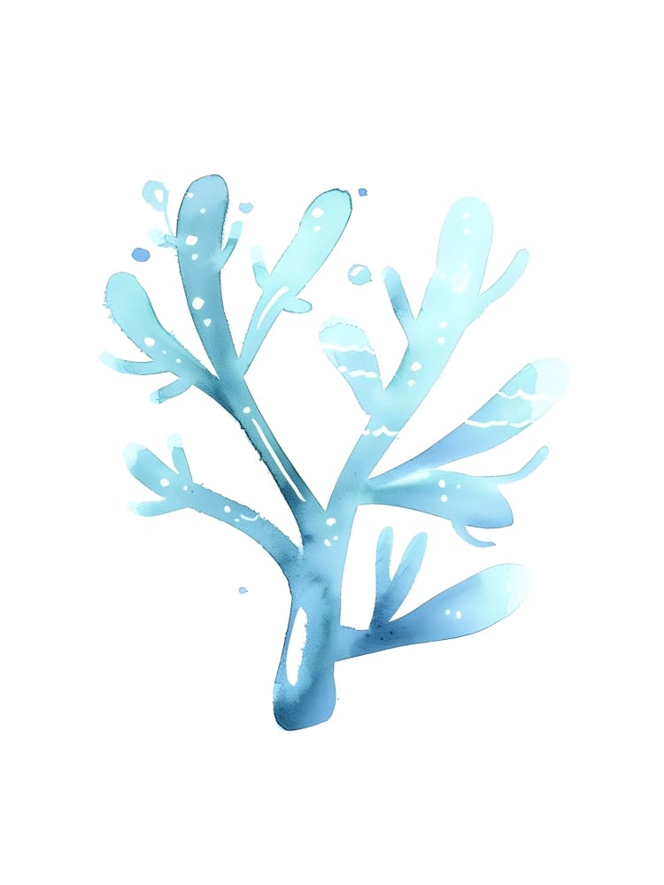 Watercolor Coral 1