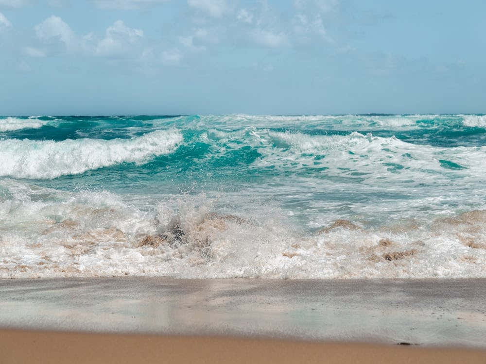 Pacific Splash