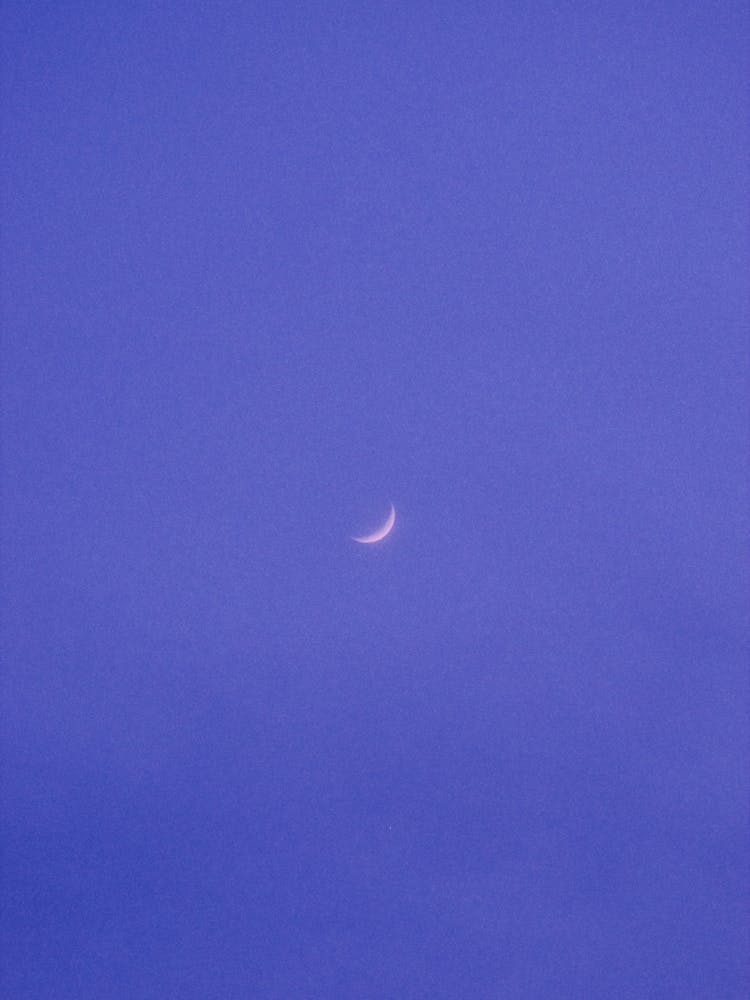 Moonshine