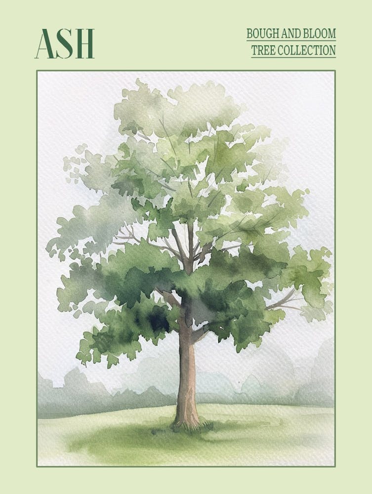 Ash Tree Atmospheric Watercolour Painting 4 Poster