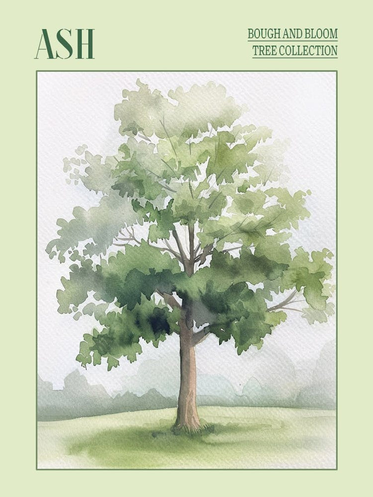 Ash Tree Atmospheric Watercolour Painting 4 Poster