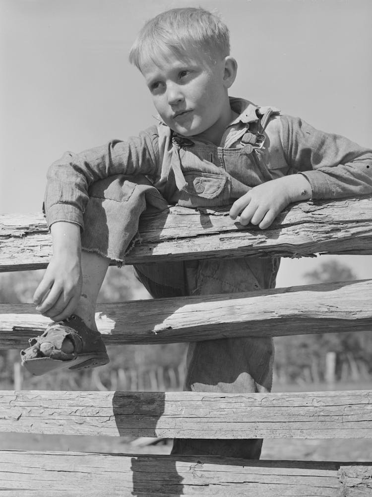 Farm Boy Resting On Rail Fence, San Augustine County, Texas By Russell Lee